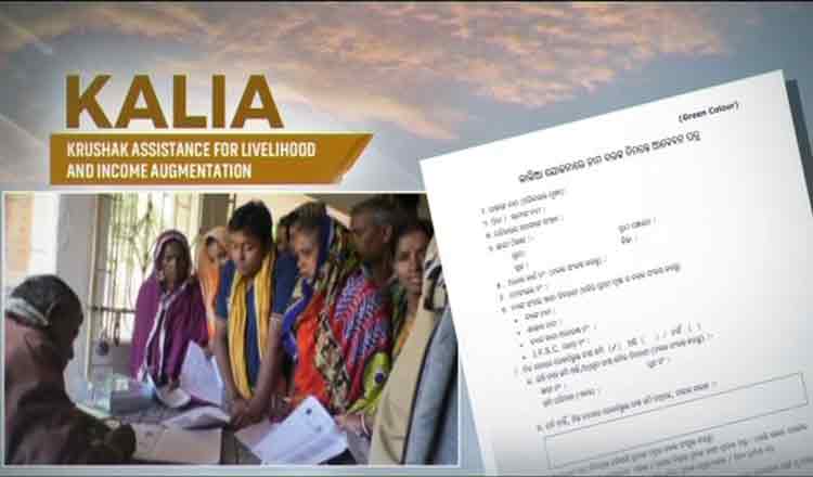 opposition-raises-questions-about-selection-of-kalia-beneficiaries