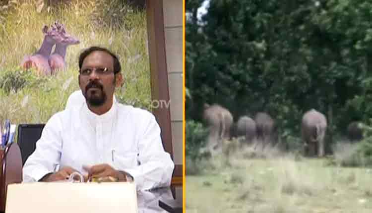 ADVANCE-PROTECTION-PLAN-WILL-PREVENT-ELEPHANT-DEATHS-SAYS-PCCF