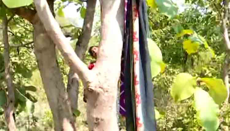 body-of-woman-found-hanging-from-a-tree-near-balangir-railway-station