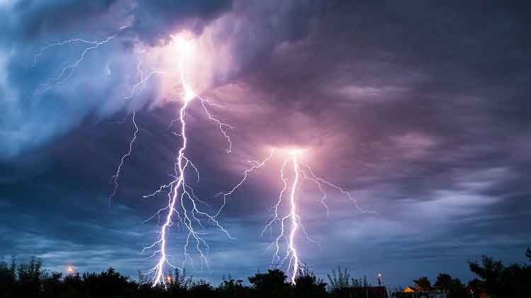 lightning-trees.ngsversion