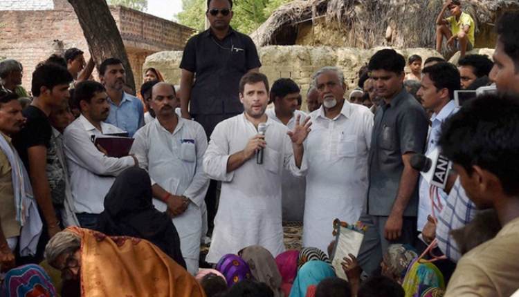 rahul gandhi amethi