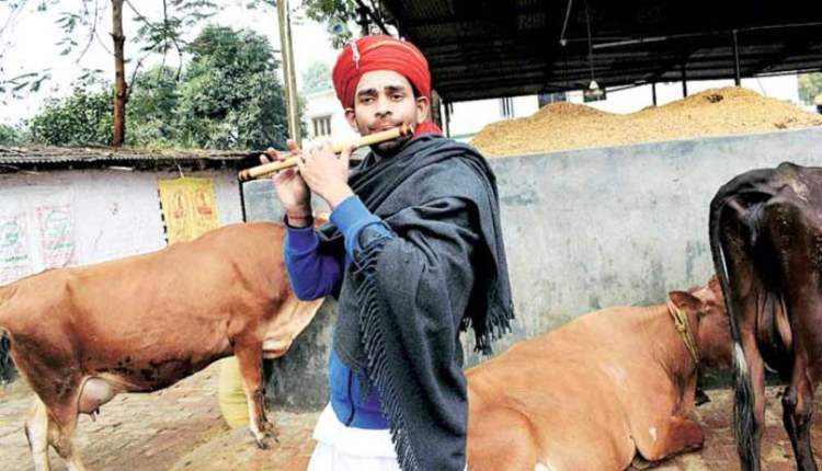 tej pratap yadav krishna