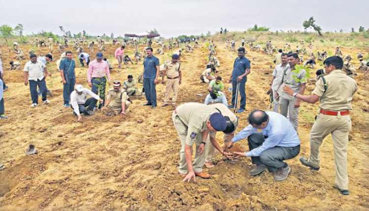 telengana govt tree