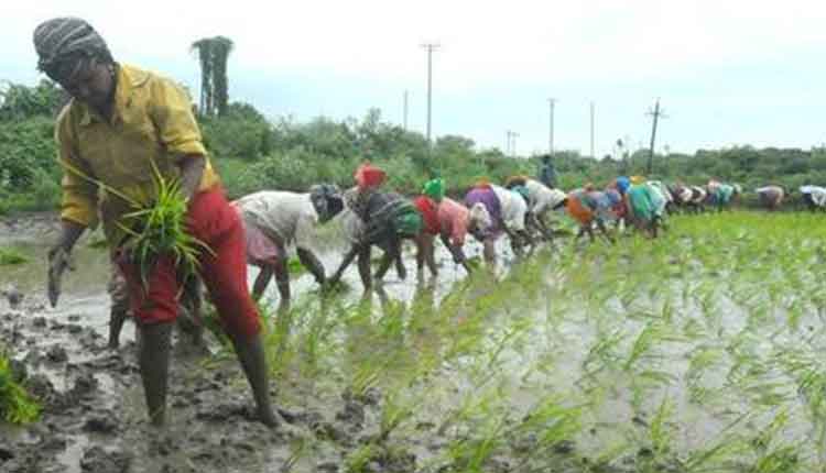 No-agri-loan-to-farmers-who-do-not-have-Aadhar-card