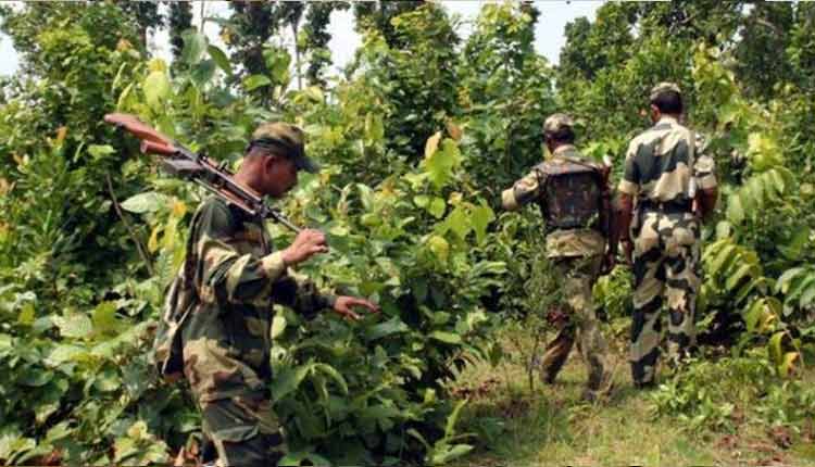 naxal operation