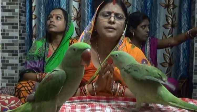 perrot-is-listening-bhagabata
