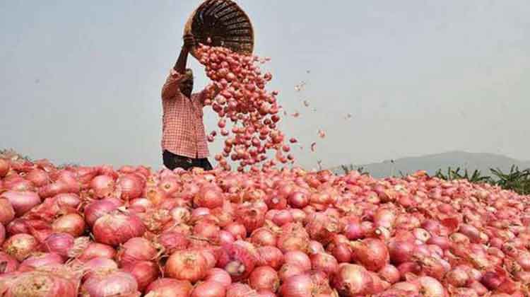 onion-price-will-hike-in-odisha