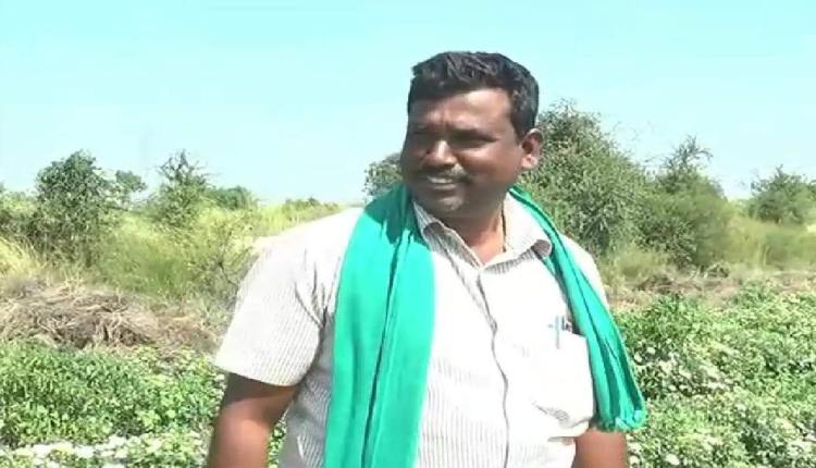 kerala onion farmer