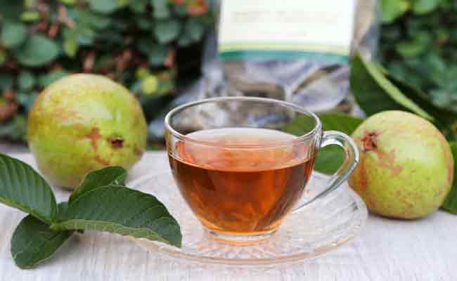 guava-leaf-tea