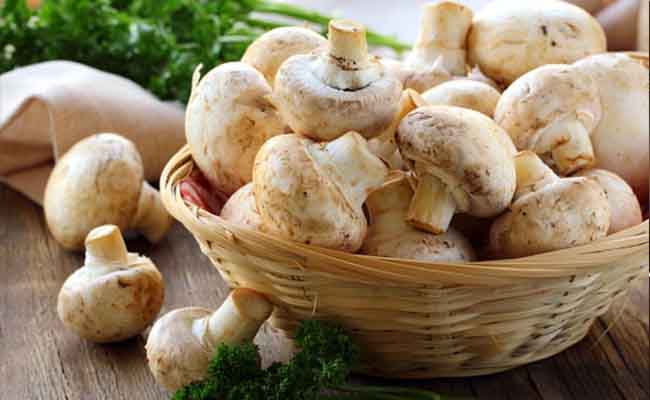 mushroom for health benifit