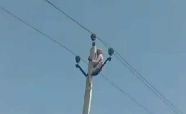 old-man-climb-electric-pole