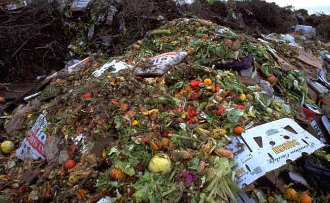 waste-food