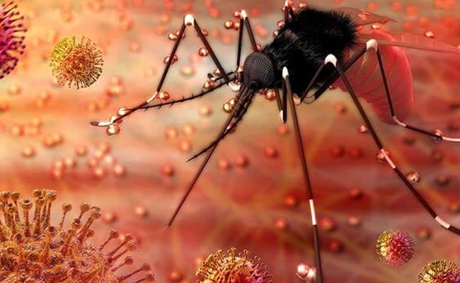 Zika virus-1