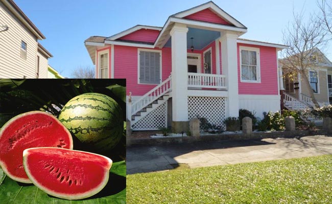 watermelon and home