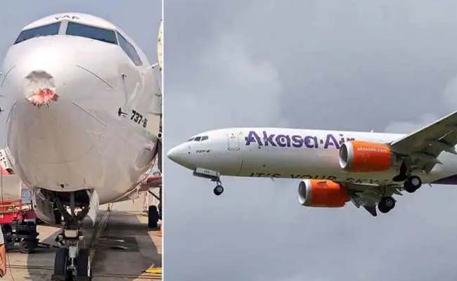 akasa-airlines